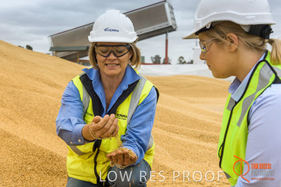 December 2016 / WOLSELEY_333_161214_DSC1061