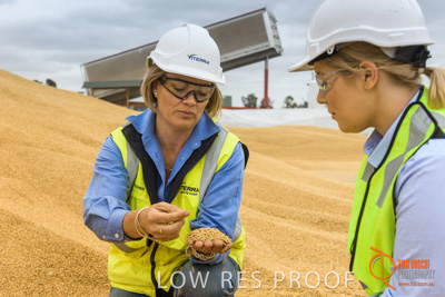 December 2016 / WOLSELEY_334_161214_DSC1062