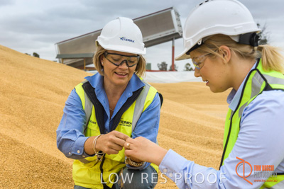 December 2016 / WOLSELEY_335_161214_DSC1064