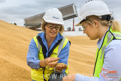 December 2016 / WOLSELEY_336_161214_DSC1065