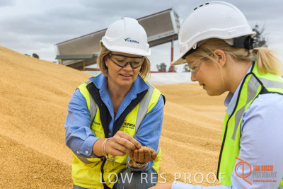 December 2016 / WOLSELEY_337_161214_DSC1066