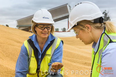 December 2016 / WOLSELEY_338_161214_DSC1070