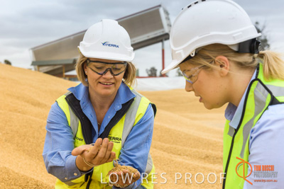 December 2016 / WOLSELEY_339_161214_DSC1071