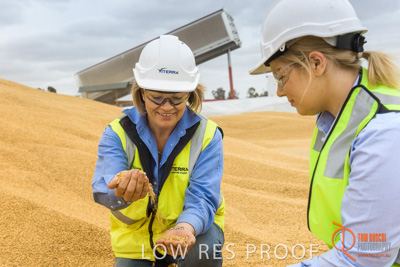 December 2016 / WOLSELEY_342_161214_DSC1079