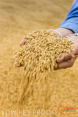 December 2016 / WOLSELEY_352_161214_DSC1095