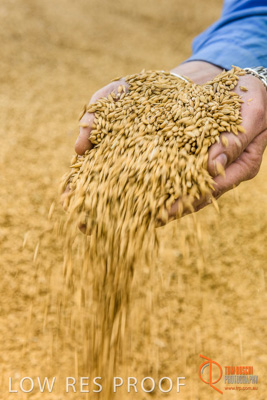 December 2016 / WOLSELEY_357_161214_DSC1105