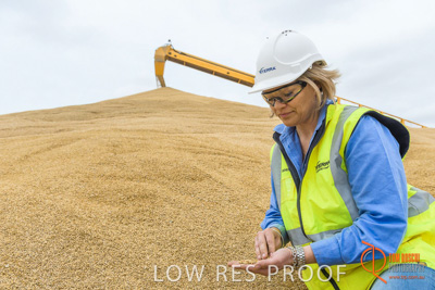 December 2016 / WOLSELEY_367_161214_DSC1170