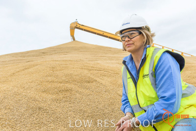 December 2016 / WOLSELEY_369_161214_DSC1174