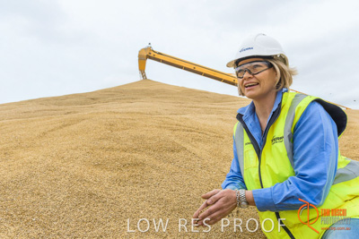 December 2016 / WOLSELEY_371_161214_DSC1180