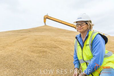 December 2016 / WOLSELEY_372_161214_DSC1186