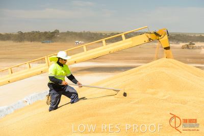 January 2017 / CONTRACTORS_TAILEMBEND_418_170104