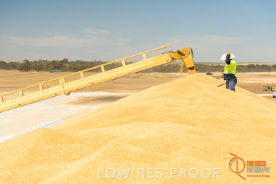 January 2017 / CONTRACTORS_TAILEMBEND_421_170104