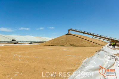 January 2017 / CONTRACTORS_TAILEMBEND_439_170104