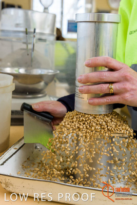 April 2017 / CLASSING_HUT_024_170427