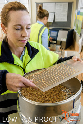 April 2017 / CLASSING_HUT_037_170427