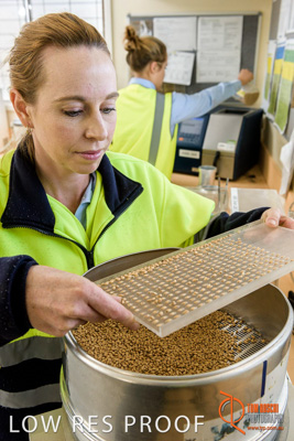 April 2017 / CLASSING_HUT_038_170427