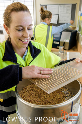 April 2017 / CLASSING_HUT_039_170427