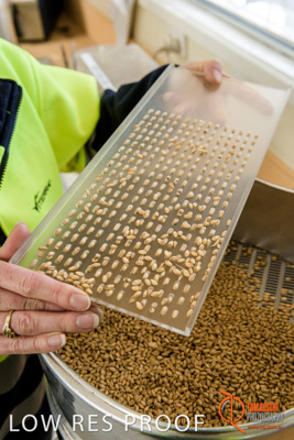 April 2017 / CLASSING_HUT_043_170427