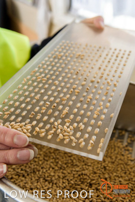 April 2017 / CLASSING_HUT_045_170427