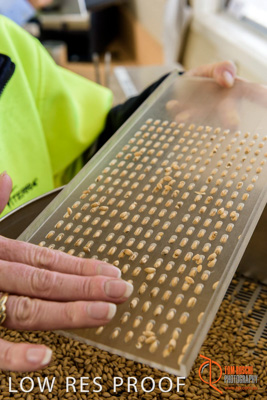 April 2017 / CLASSING_HUT_046_170427