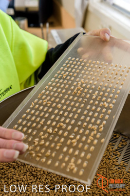 April 2017 / CLASSING_HUT_047_170427