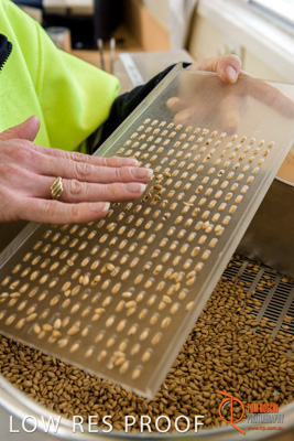 April 2017 / CLASSING_HUT_048_170427