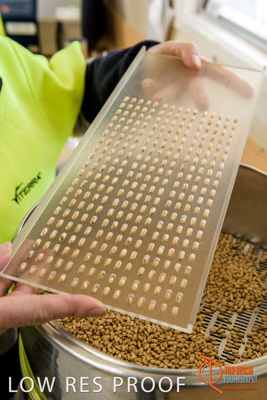 April 2017 / CLASSING_HUT_050_170427