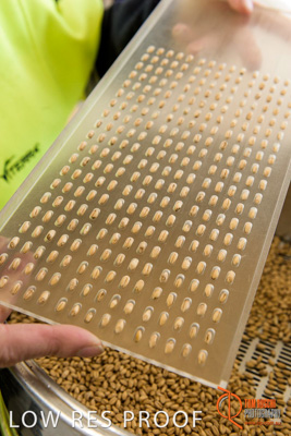 April 2017 / CLASSING_HUT_051_170427