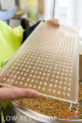 April 2017 / CLASSING_HUT_052_170427