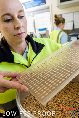 April 2017 / CLASSING_HUT_053_170427