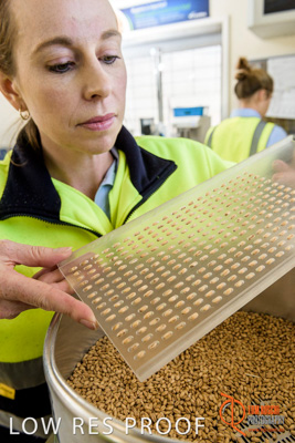 April 2017 / CLASSING_HUT_054_170427