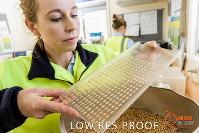 April 2017 / CLASSING_HUT_055_170427