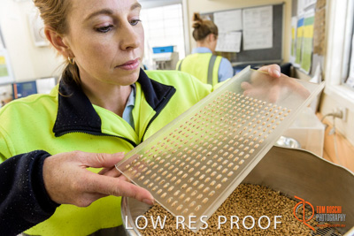 April 2017 / CLASSING_HUT_056_170427