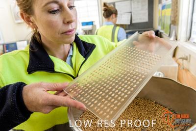 April 2017 / CLASSING_HUT_057_170427