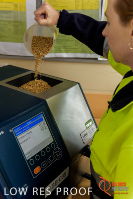 April 2017 / CLASSING_HUT_066_170427