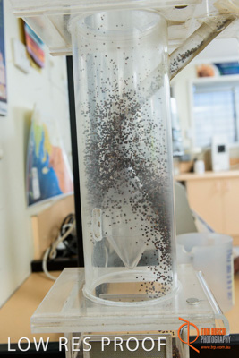 April 2017 / CLASSING_HUT_132_170427