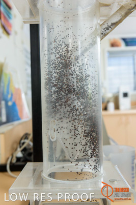 April 2017 / CLASSING_HUT_134_170427