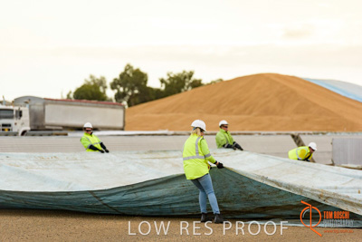 April 2017 / TARP_PULLING_011_170427