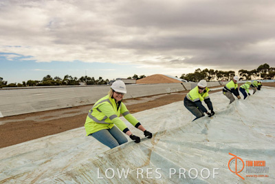 April 2017 / TARP_PULLING_021_170427