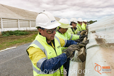 April 2017 / TARP_PULLING_060_170427
