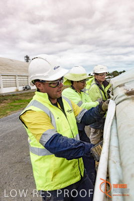 April 2017 / TARP_PULLING_064_170427