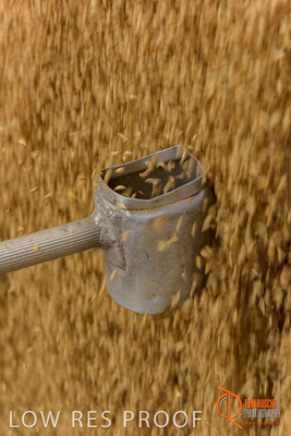 April 2017 / TRUCK_UNLOADING_SAMPLING_009_170427