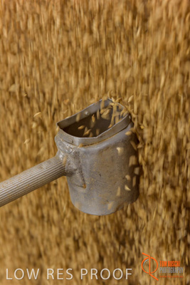 April 2017 / TRUCK_UNLOADING_SAMPLING_010_170427