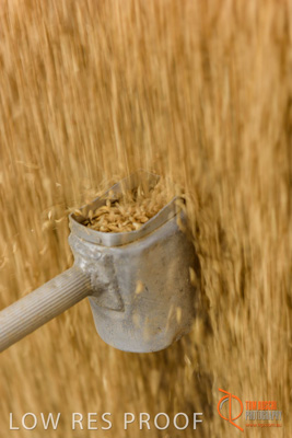 April 2017 / TRUCK_UNLOADING_SAMPLING_014_170427