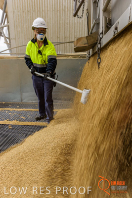 April 2017 / TRUCK_UNLOADING_SAMPLING_054_170427