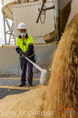 April 2017 / TRUCK_UNLOADING_SAMPLING_058_170427