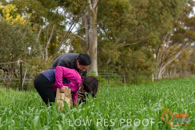 September 2017 / VITERRA_GCA_CHINESE_GOV_VISIT_159_170902