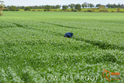 September 2017 / VITERRA_GCA_CHINESE_GOV_VISIT_181_170902