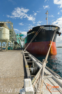 November 2017 / ADRIANA_ROSE_PL_001_171121_TRP6258