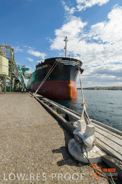 November 2017 / ADRIANA_ROSE_PL_003_171121_TRP6263